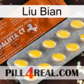 Liu Bian 42
